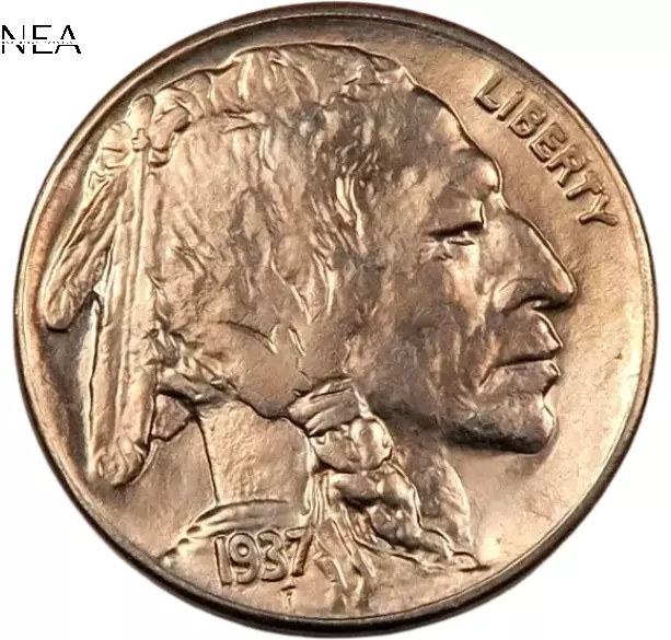 Buffalo Nickel - Gem BU