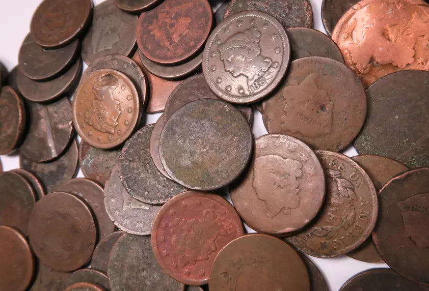 Bust/Classic/Coronet/Braided Hair Large Cent Lot - 5 Coin Set