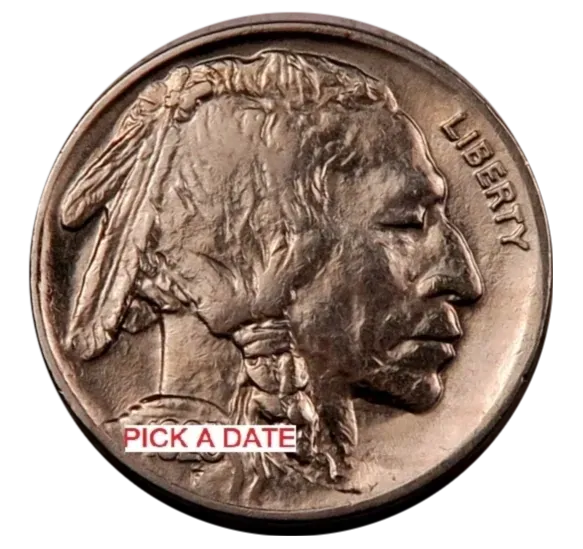 Buffalo Nickel - Gem BU