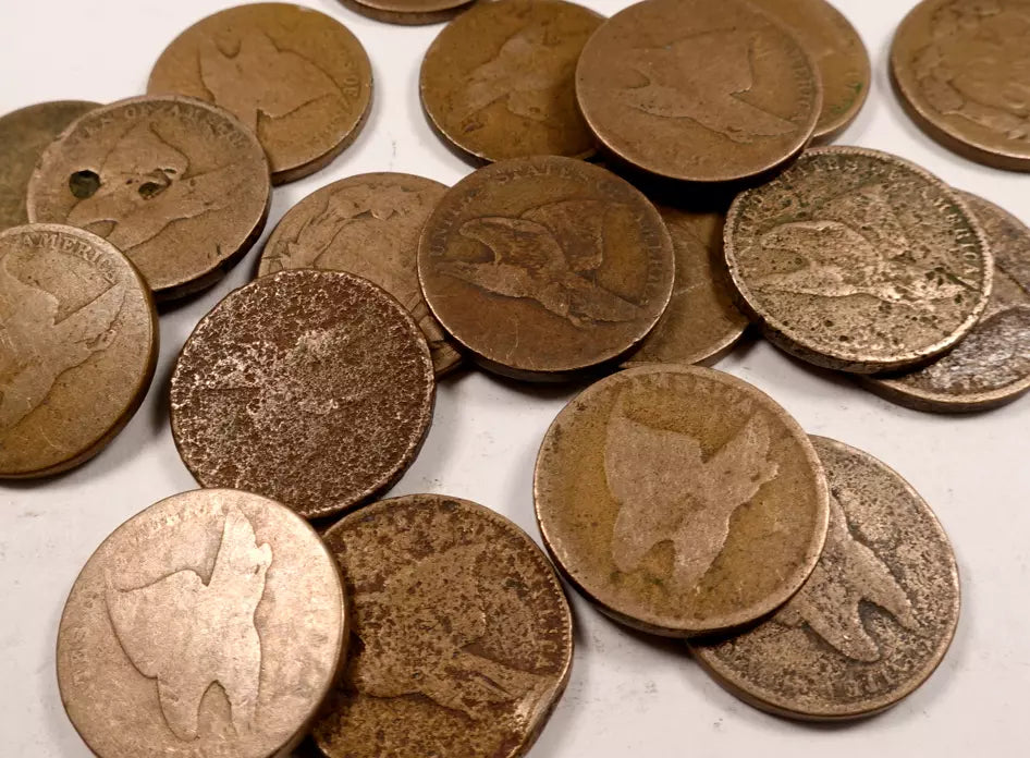 Flying Eagle Penny Cent Lot ~ Low Grade/Cull ~ 2 Coin Set