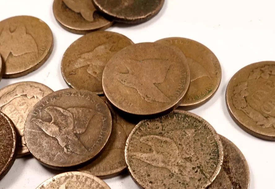 Flying Eagle Penny Cent Lot ~ Low Grade/Cull ~ 2 Coin Set