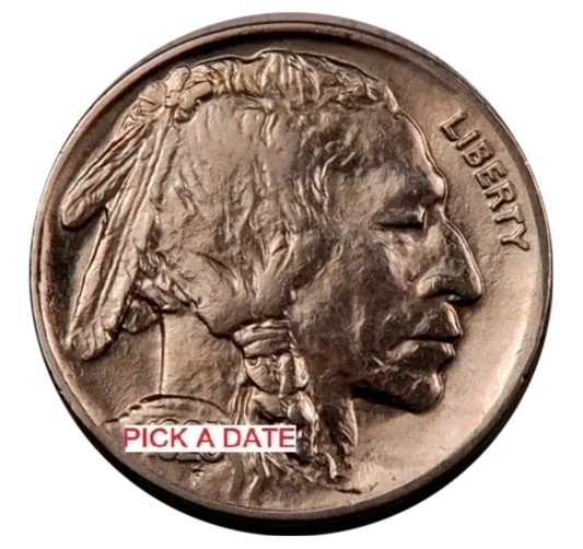 Buffalo Nickel - Gem BU