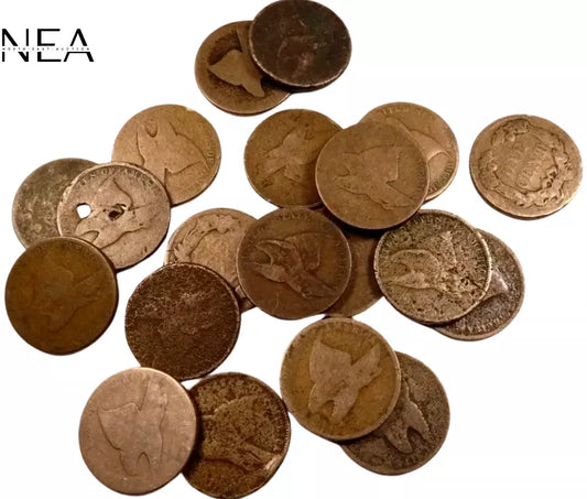 Flying Eagle Penny Cent Lot ~ Low Grade/Cull ~ 2 Coin Set
